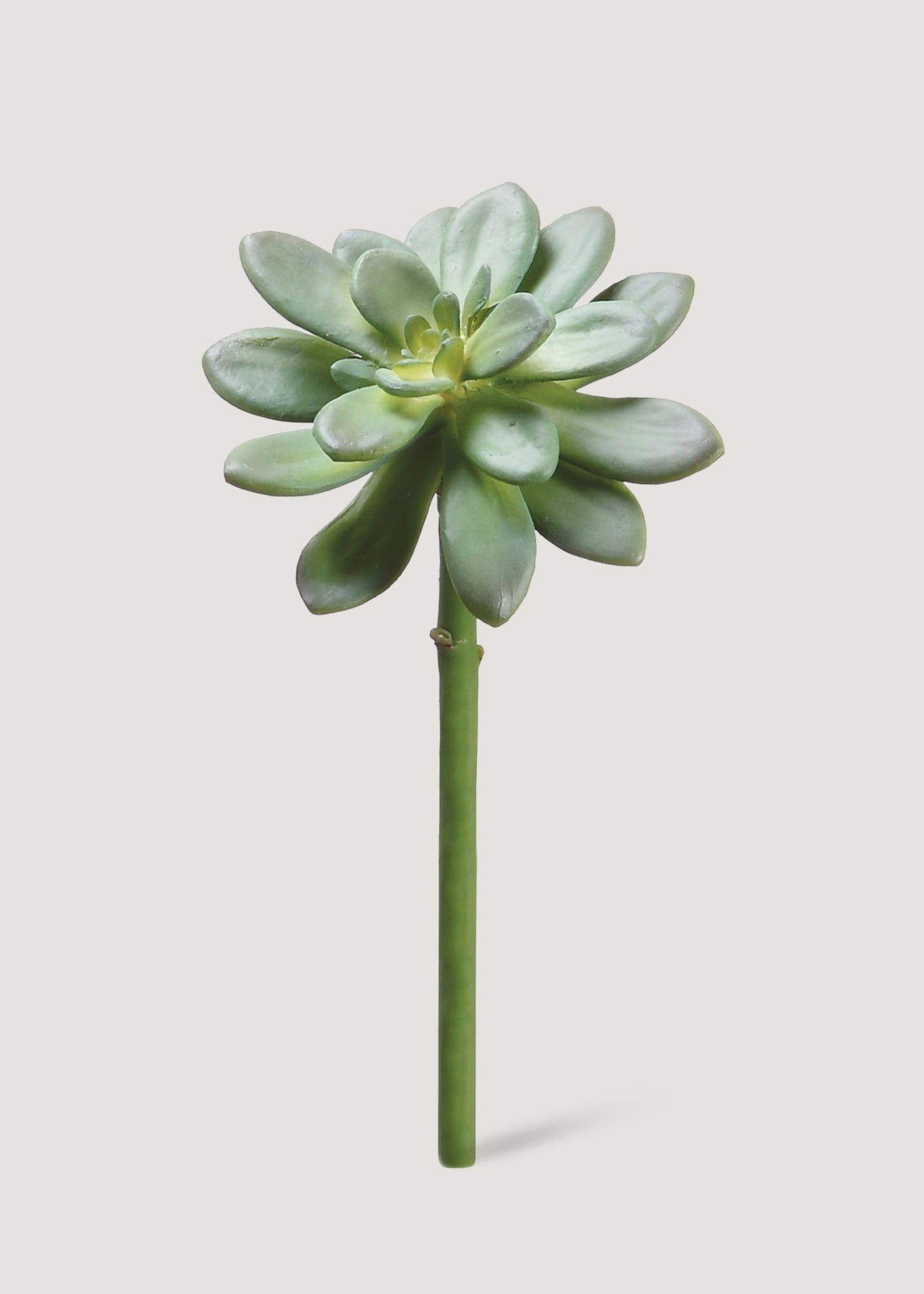 Fake Succulents Echeveria Pick - 10"