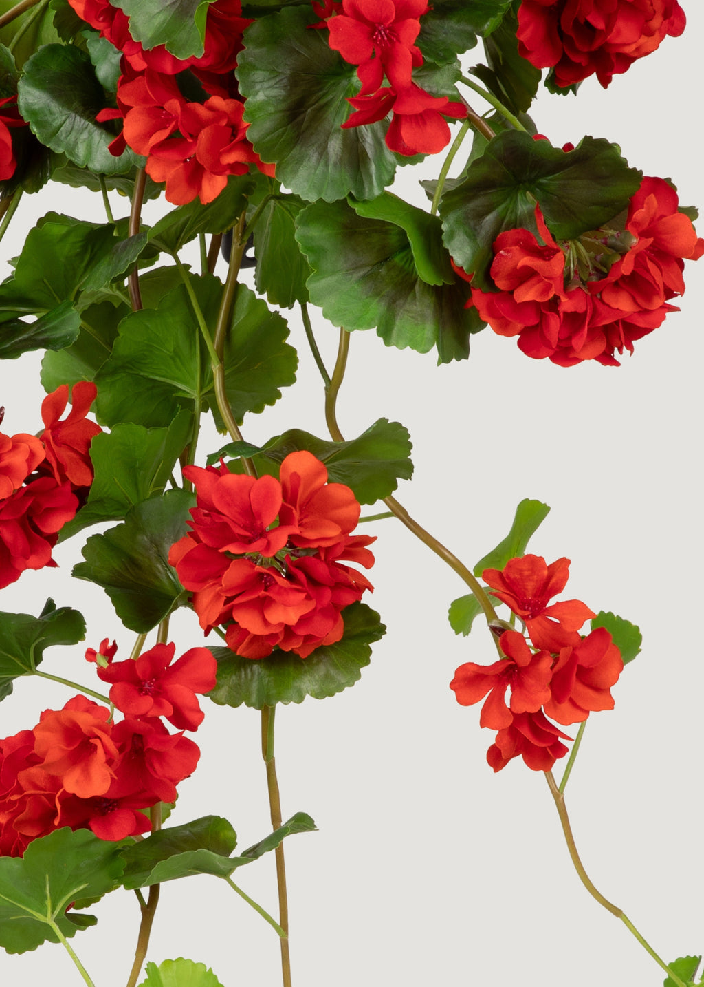 Red UV Treated Indoor/Outdoor Real Touch Geranium Hanging Bush - 36"