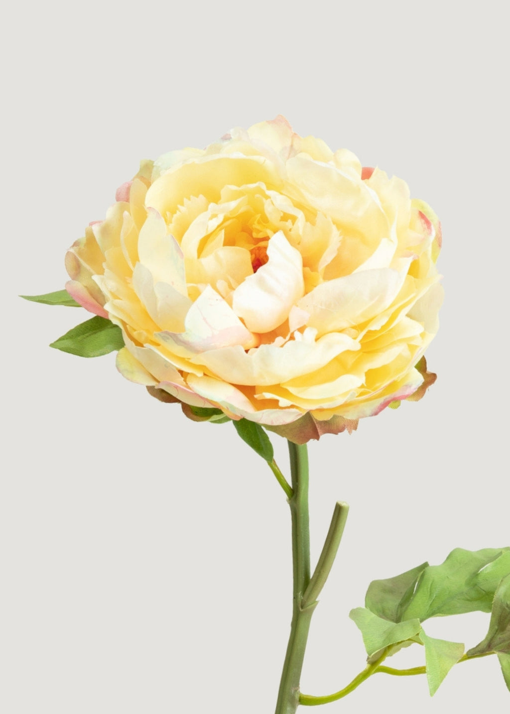 Real Touch Peony in Pale Yellow - 20"