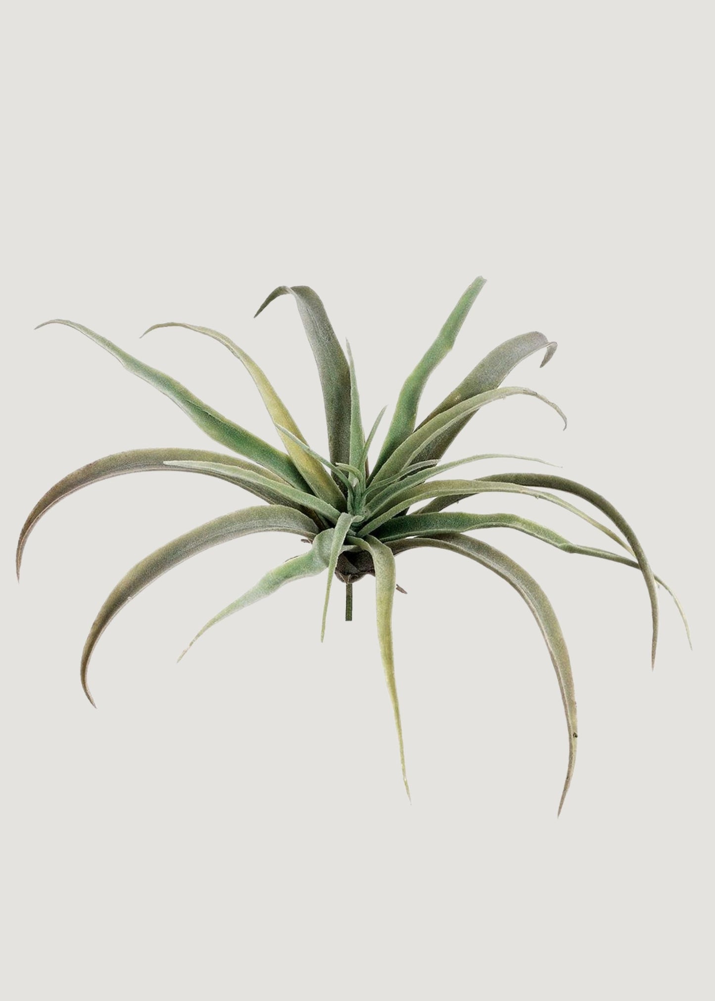Large Fake Tillandsia Succulent Air Plant - 9"