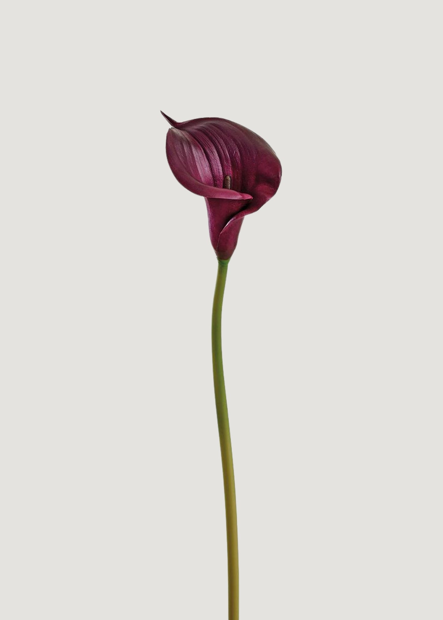 Plum Purple Artificial Calla Lily Real Touch Flower - 33"
