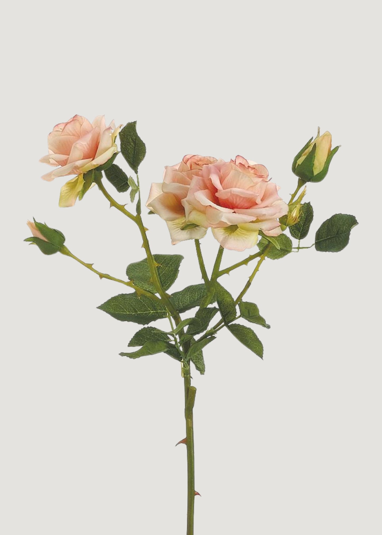Salmon Pink Fake Roses Stem - 22.5"