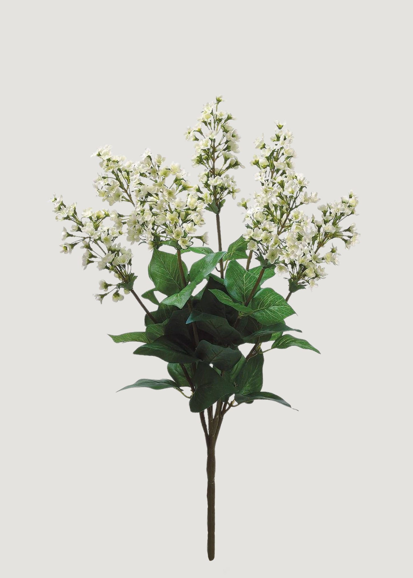 Artificial Bouvardia Flower Bush in Cream - 23"