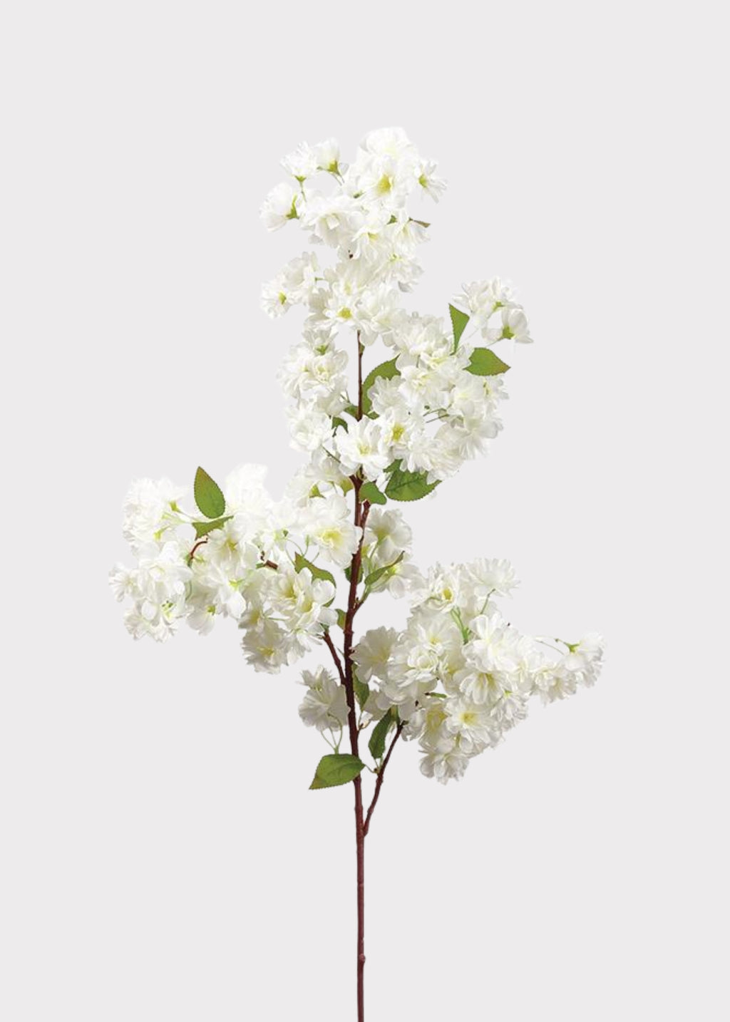 Artificial Spring Cherry Blossoms in Cream - 40"