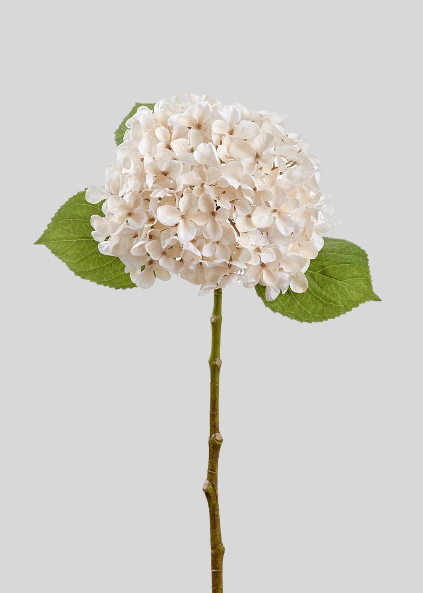 Ivory Cream Fake Hydrangea Flower - 17.5"