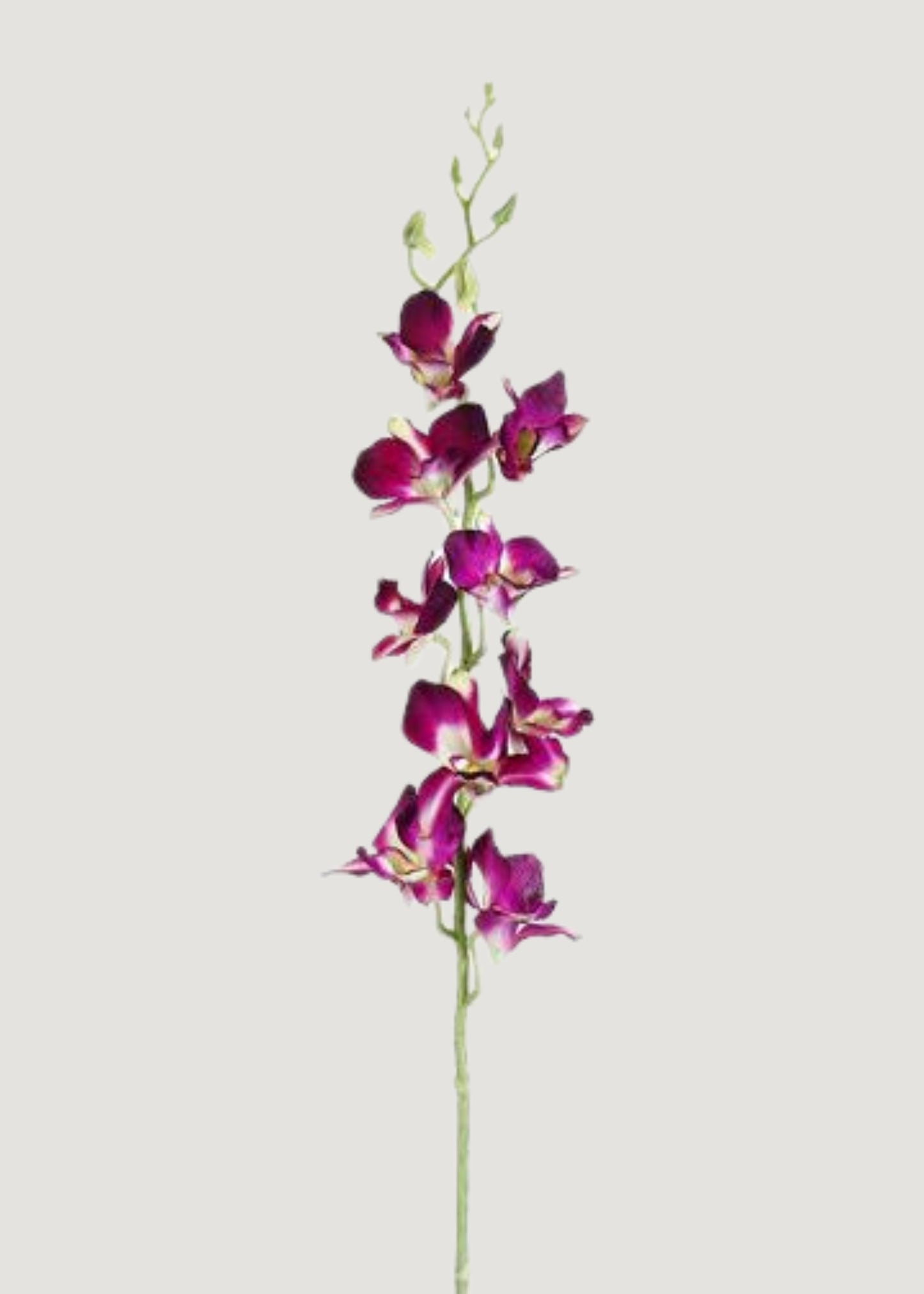 Purple Artificial Dendrobium Orchid Flower Branch - 35.5"