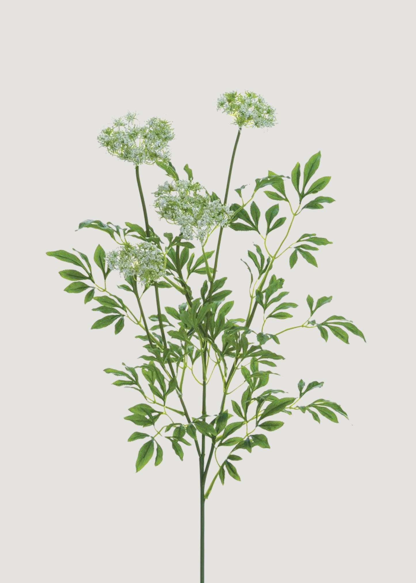 Tall Queen Anne's Lace Fake Wildflower Branch - 35.5"