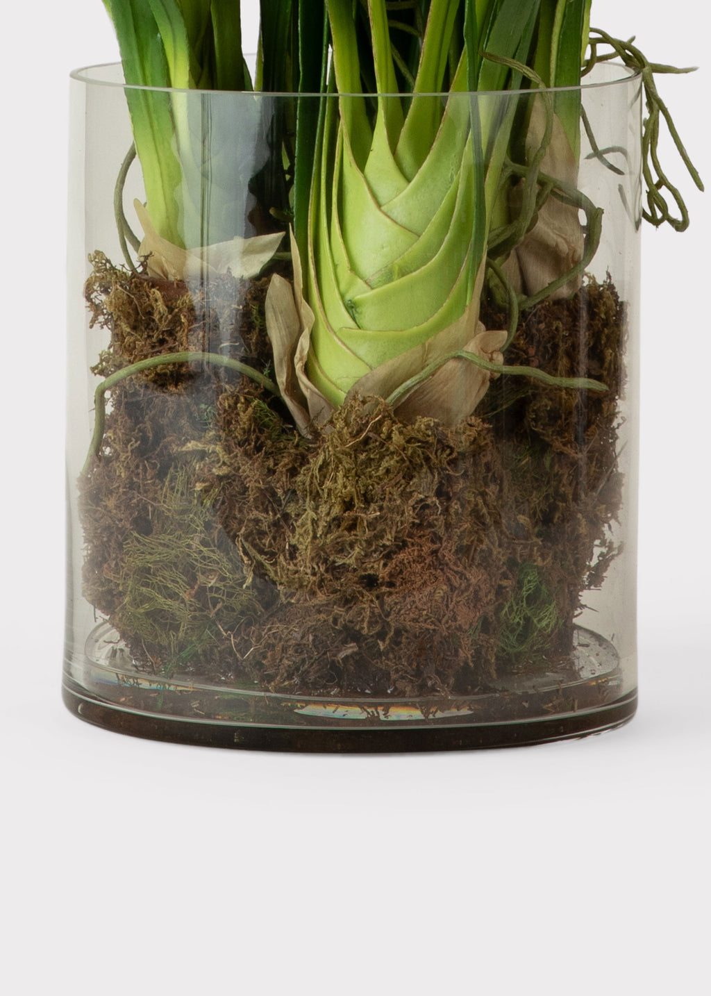 Cymbidium Orchid Potted Fake Plant in Glass Vase - 36"