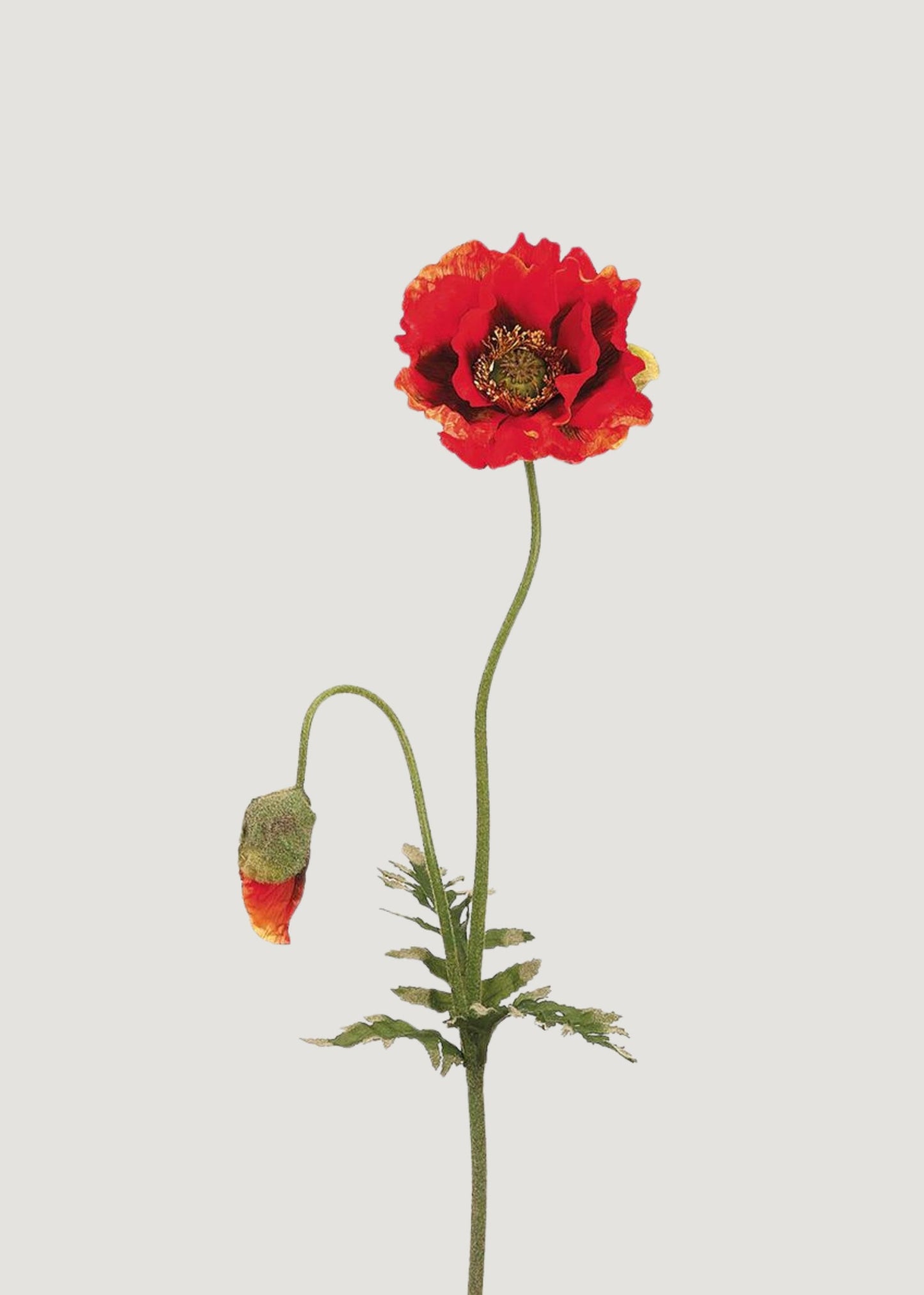 Flame Orange Fake Poppy Wildflower - 35.5"