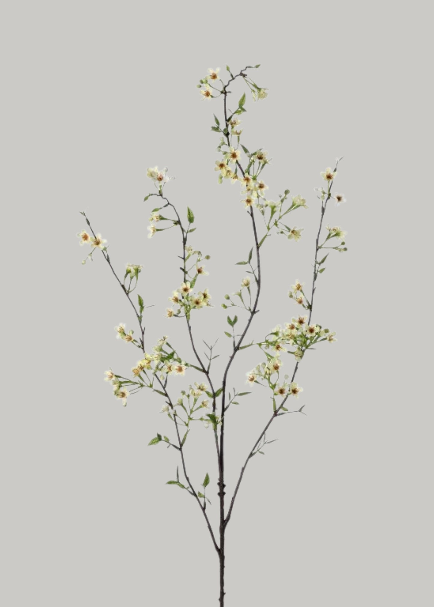 Green Artificial Waxflower Blossom Branch - 40"