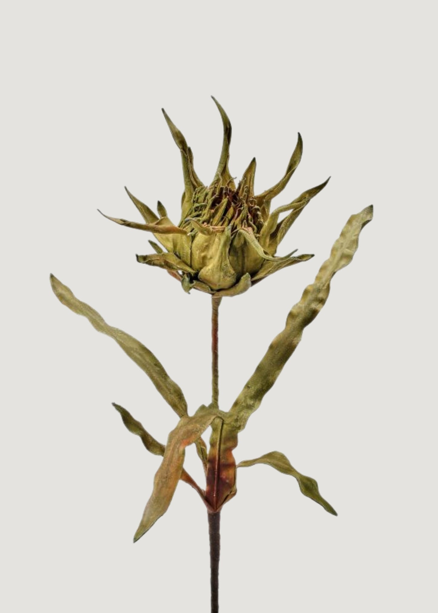 Large Fake Artichoke Protea Tropical Flower in Green - 40"