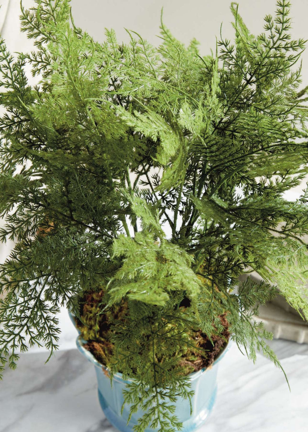 Artificial Plumosus Fern Potted Plant - 21"