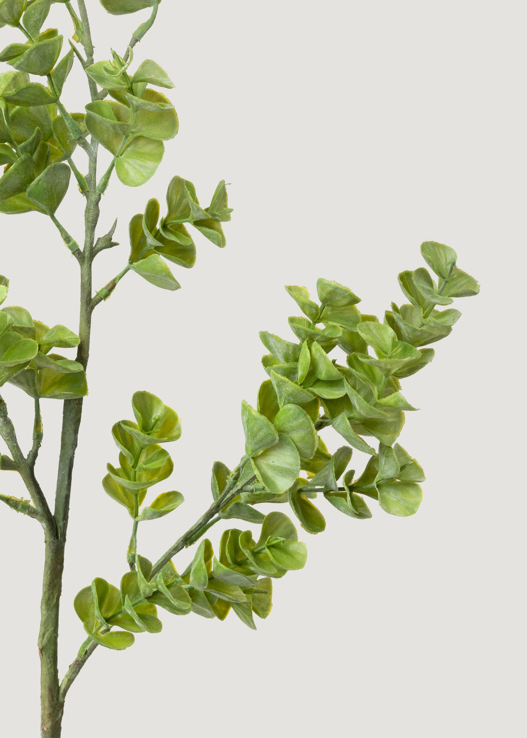Artificial Real Touch Eucalyptus Leaf Branch - 27"