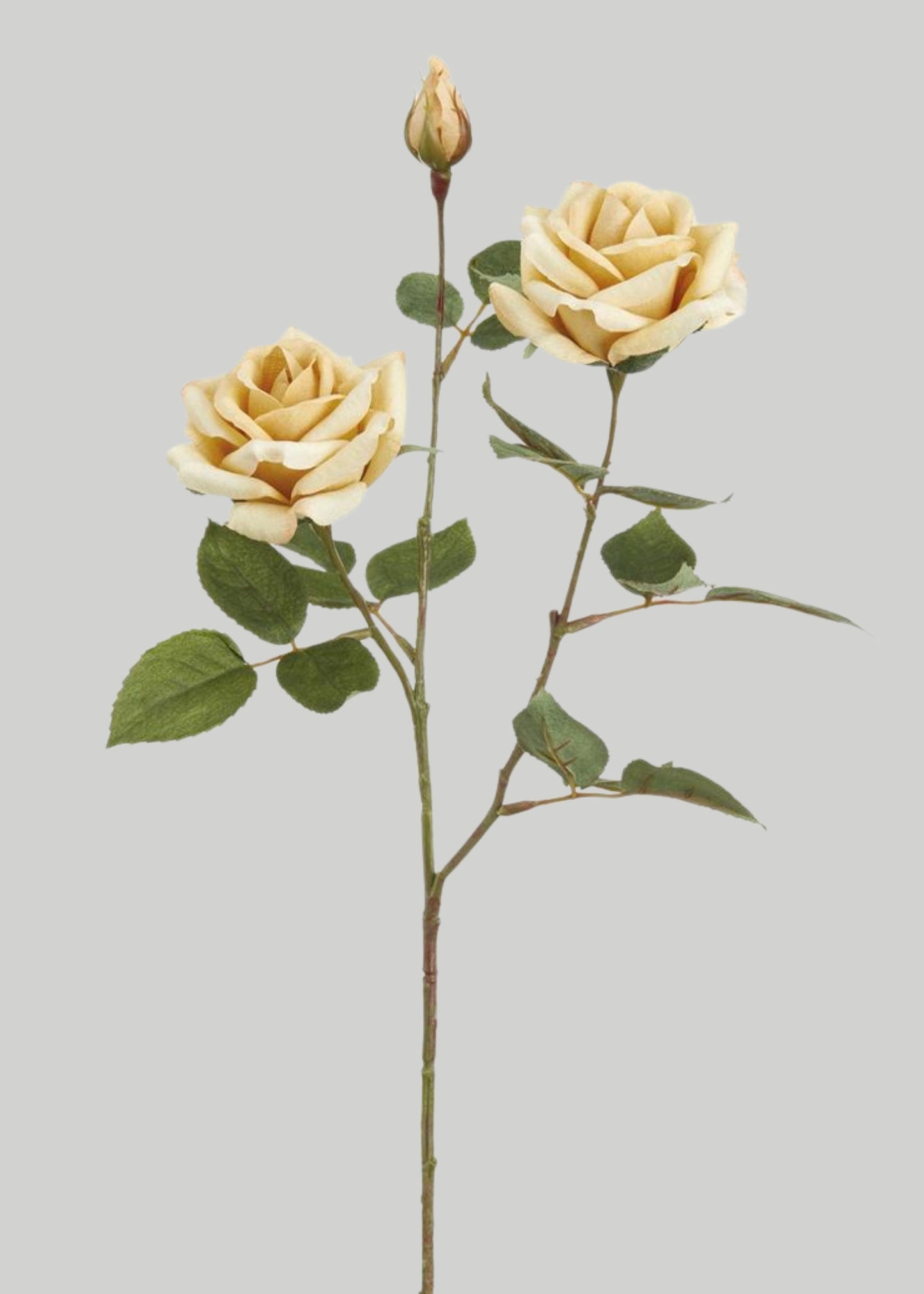 Fake Flowers Beige Blooming Rose Spray - 26"