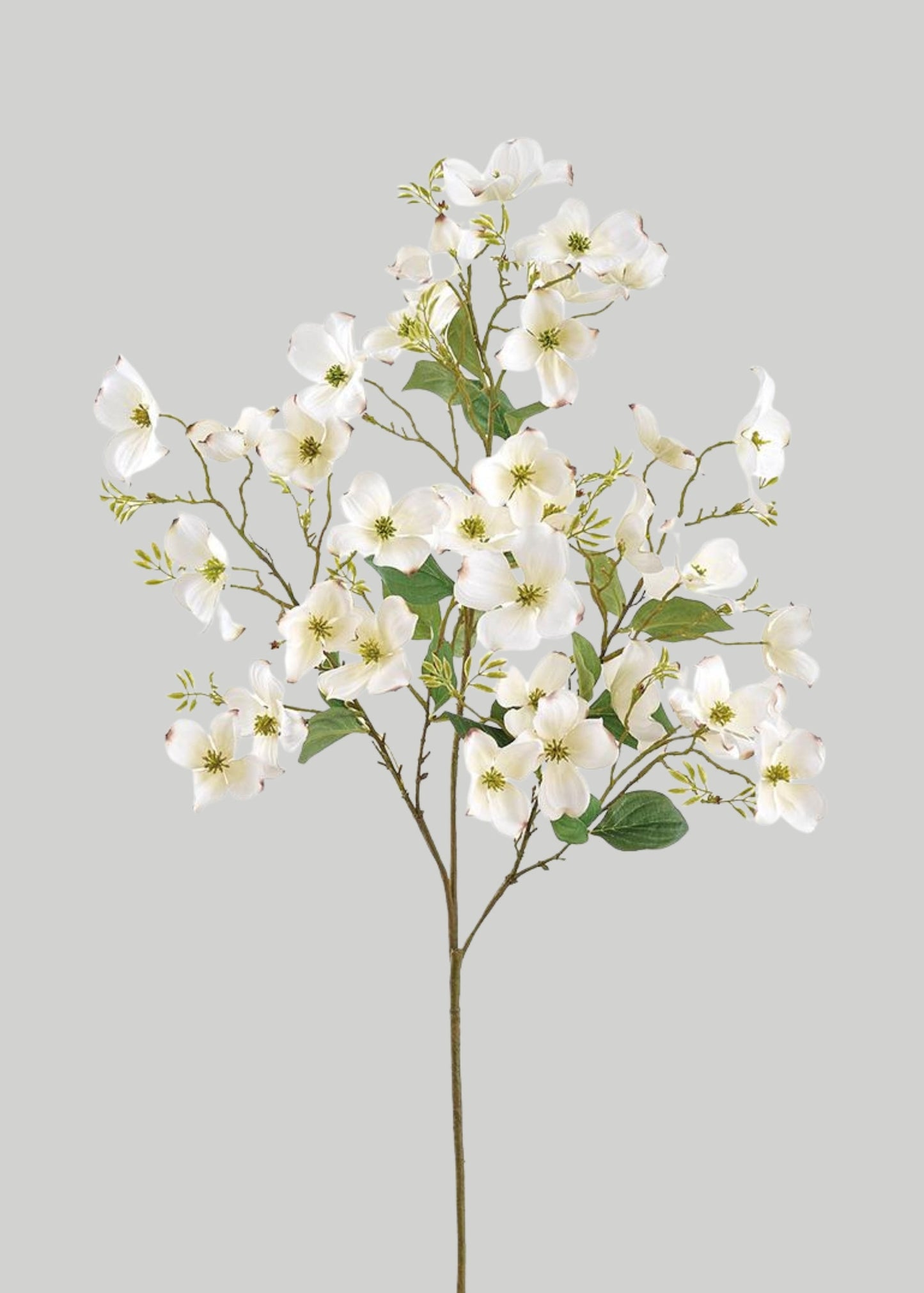Artificial Blooming Dogwood Flower Branch in White - 44"