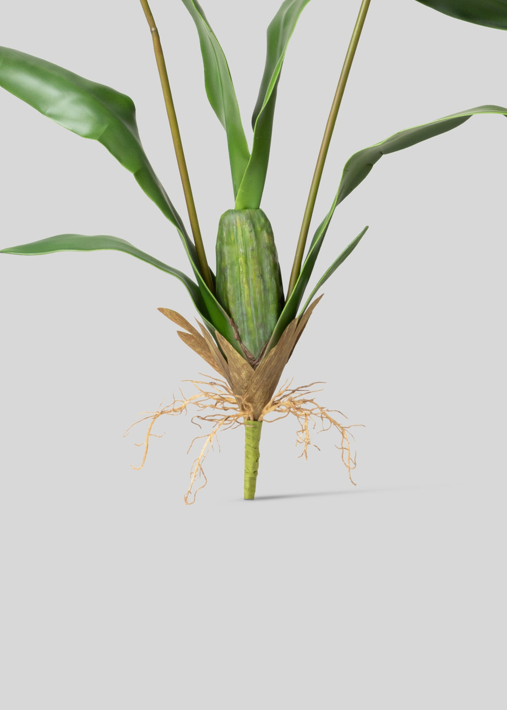 Tall Artificial Blooming Brassia Orchid Plant - 52"