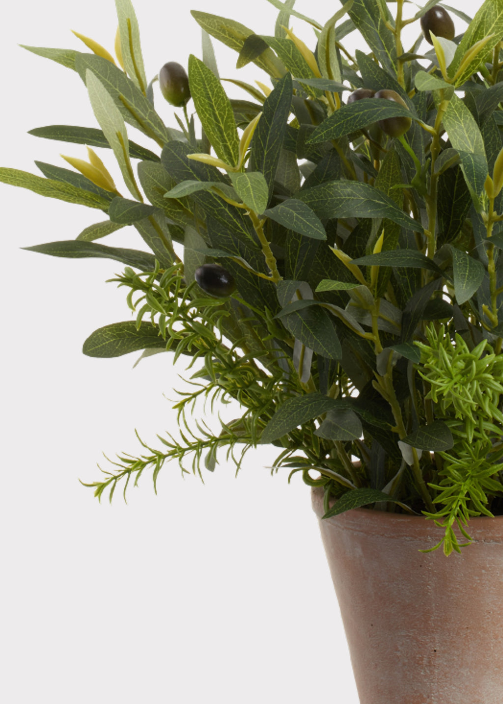 Fake Olive Leaf and Rosemary Plant in Cement Pot - 17"