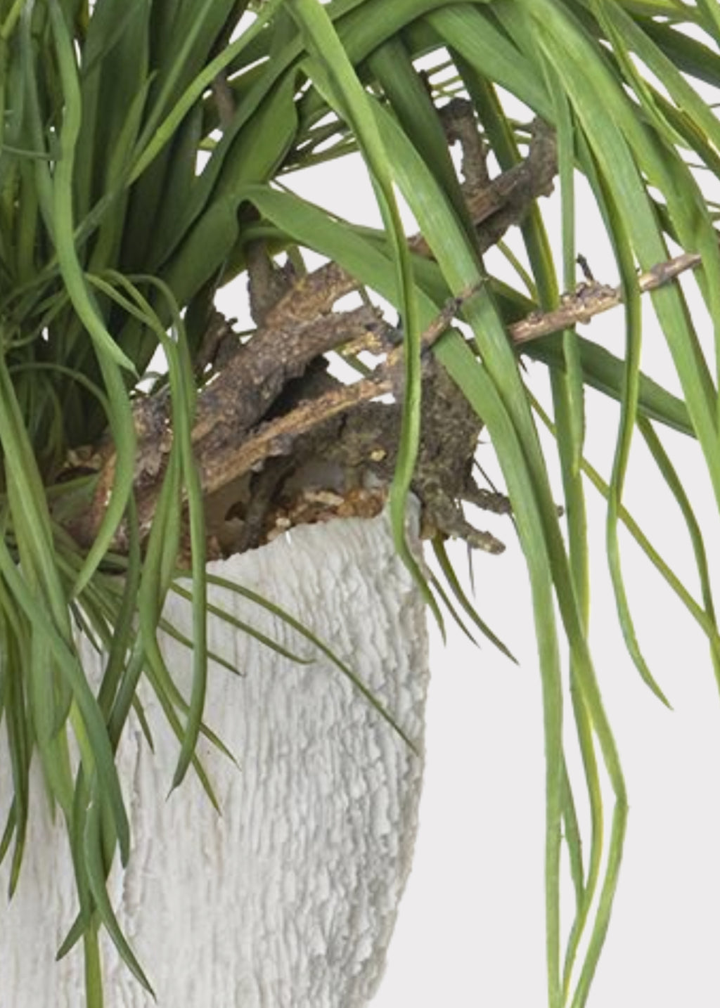 Fake Potted Grass and Driftwood Arrangement in Vase - 18.5"