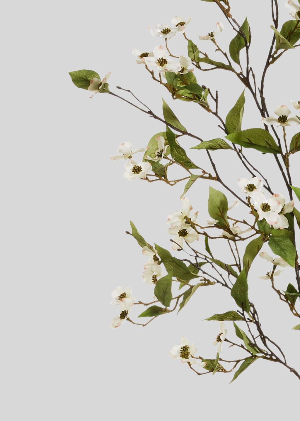 White Artificial Dogwood and Ivy Blooming Branch - 42"