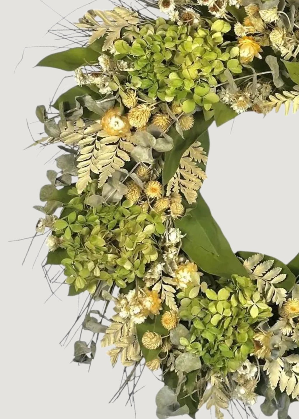 Cream Green Dried Hydrangea Flower and Eucalyptus Wreath - 22"