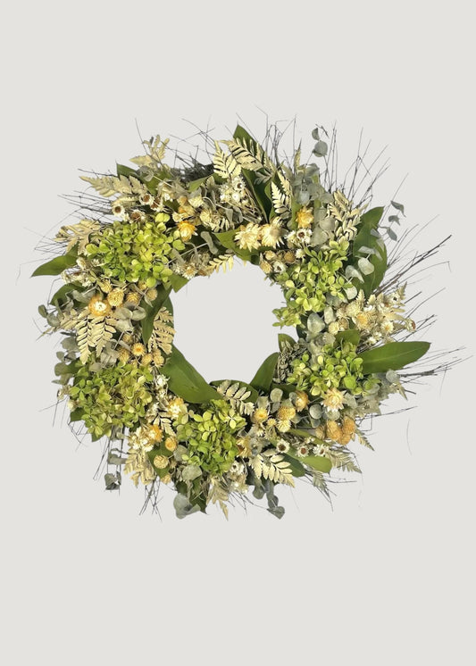 Cream Green Dried Hydrangea Flower and Eucalyptus Wreath - 22"