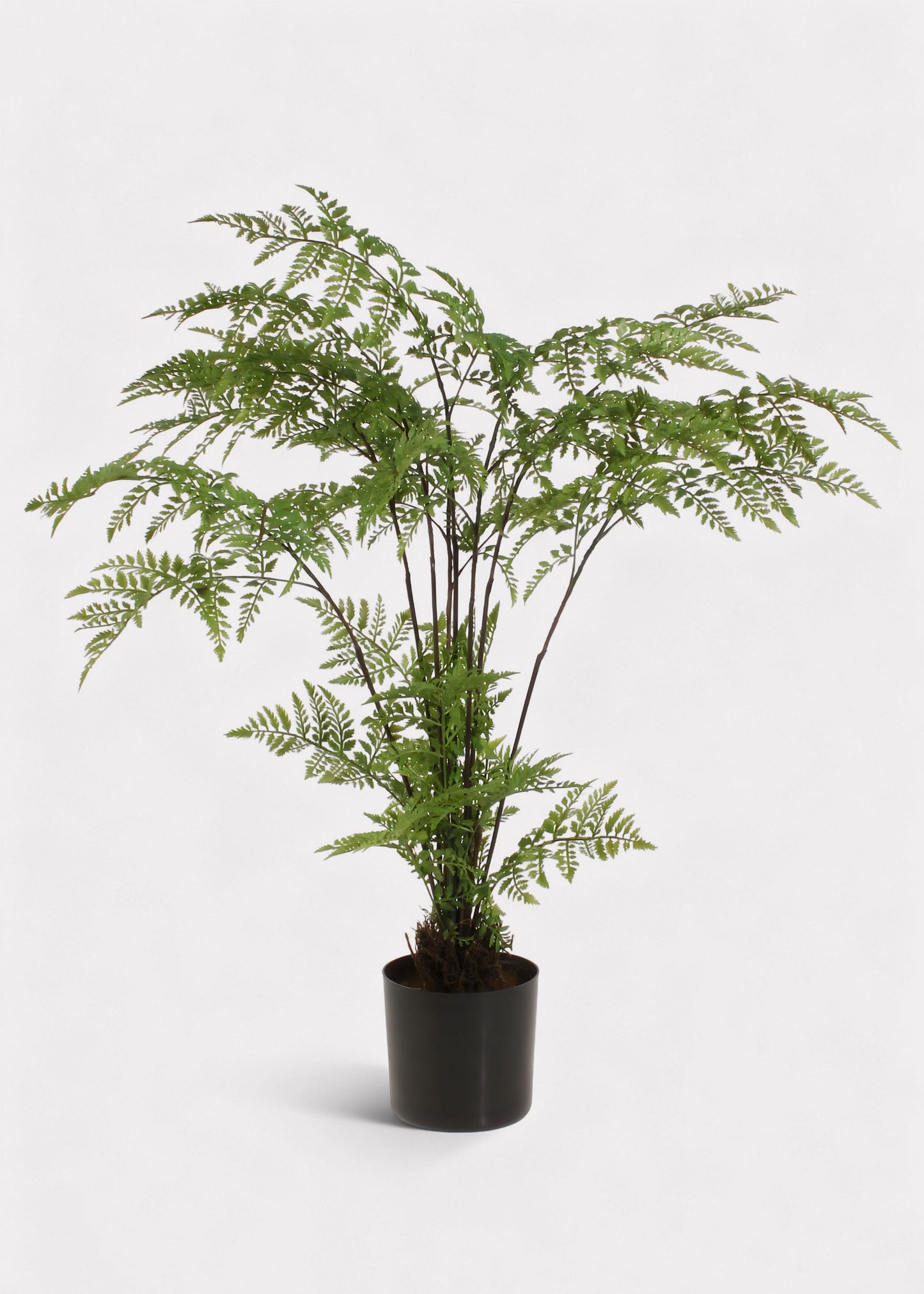 Artificial Tabletop Fern Potted Plant - 26"