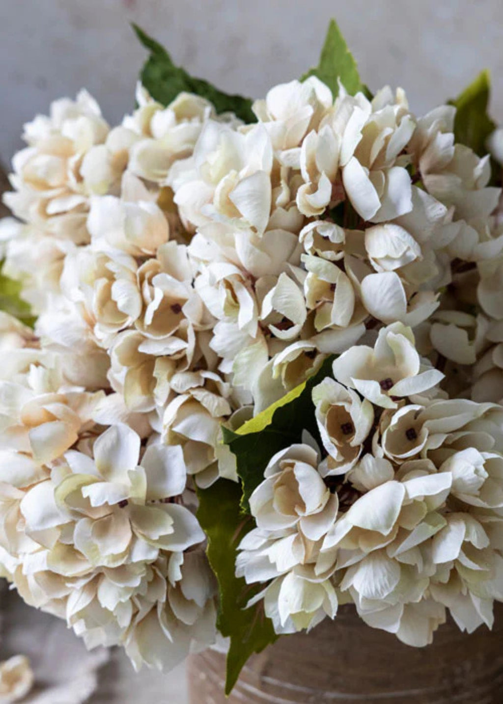 Abigail Ahern Hydrangea Fake Flower in Beige - 13.75"