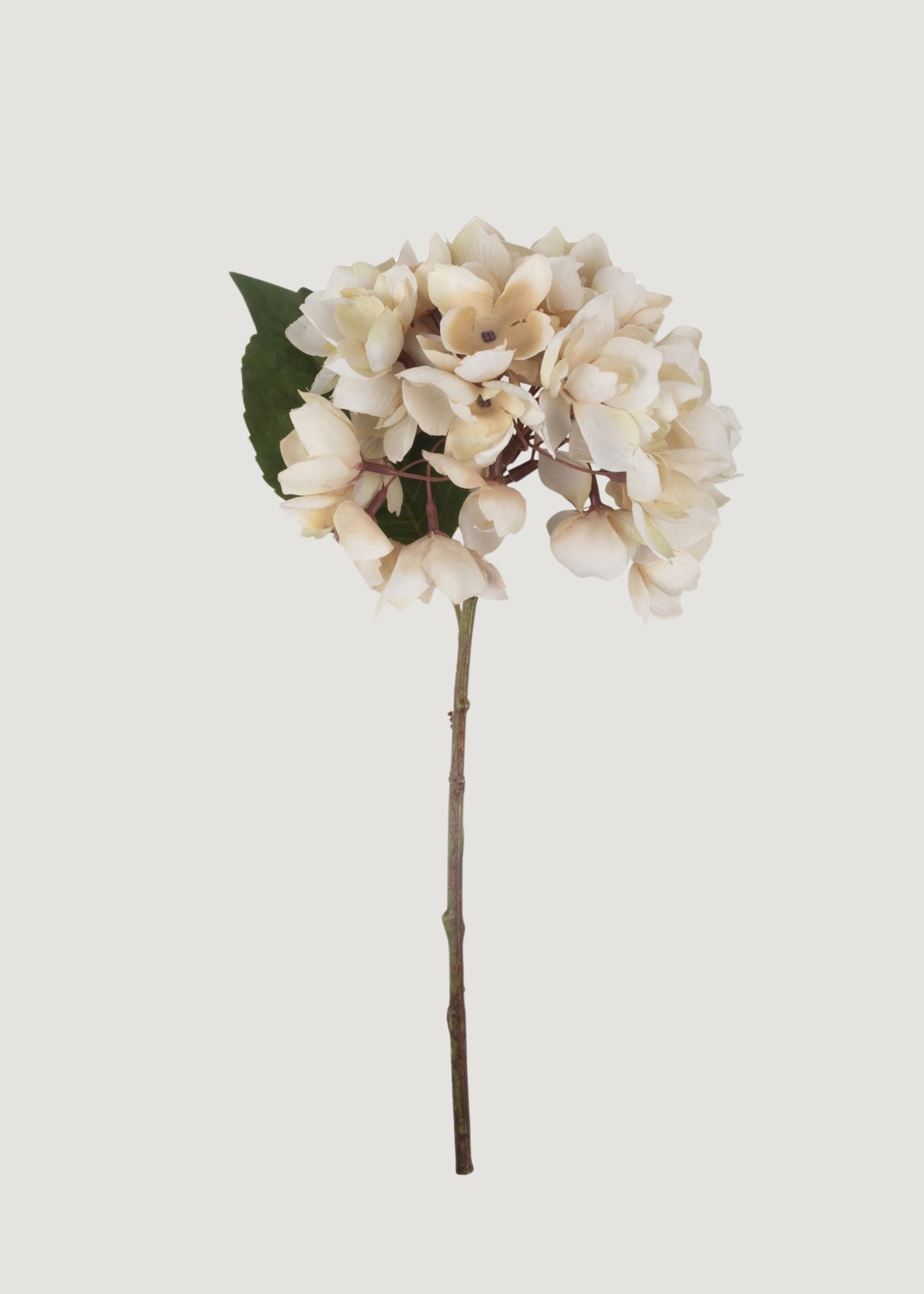 Abigail Ahern Hydrangea Fake Flower in Beige - 13.75"