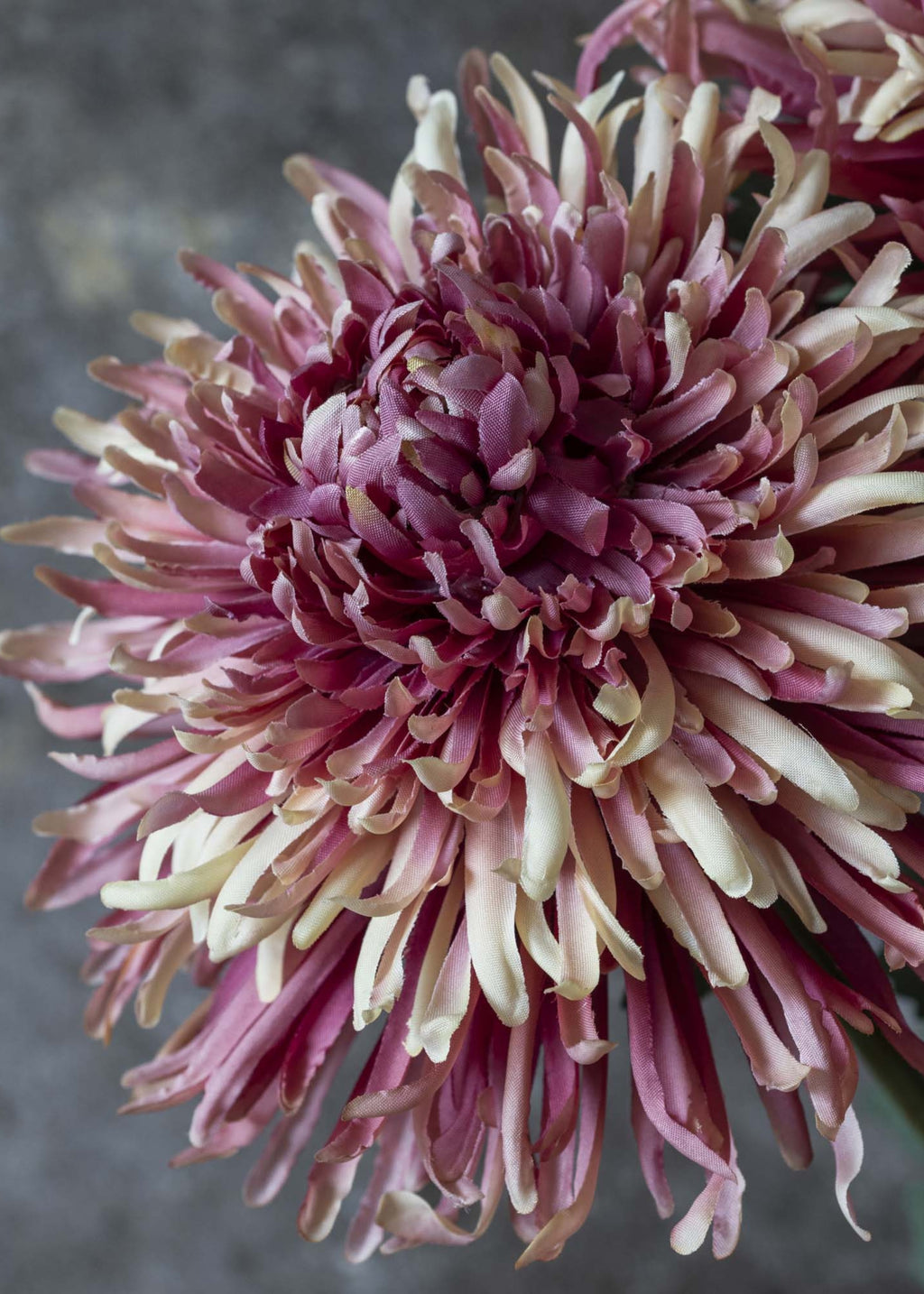 Fake Chrysanthemum Flower in Pink Sunset Hue - 35.25"