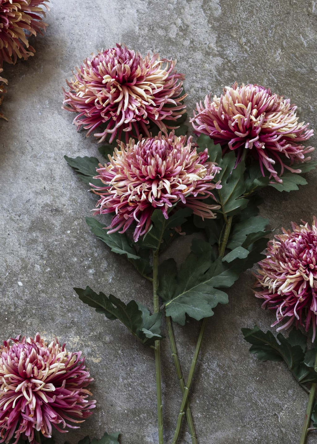 Fake Chrysanthemum Flower in Pink Sunset Hue - 35.25"