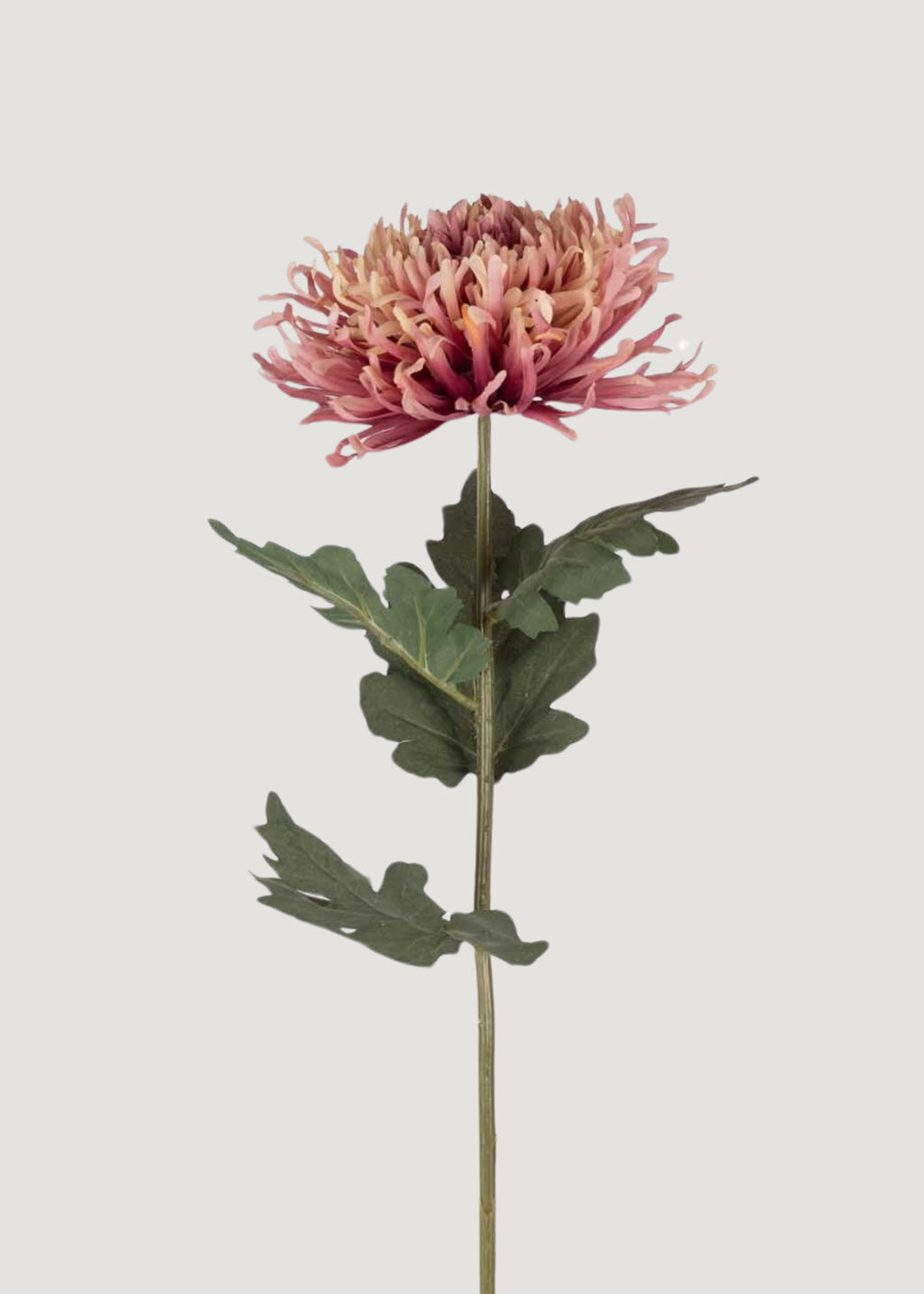 Fake Chrysanthemum Flower in Pink Sunset Hue - 35.25"