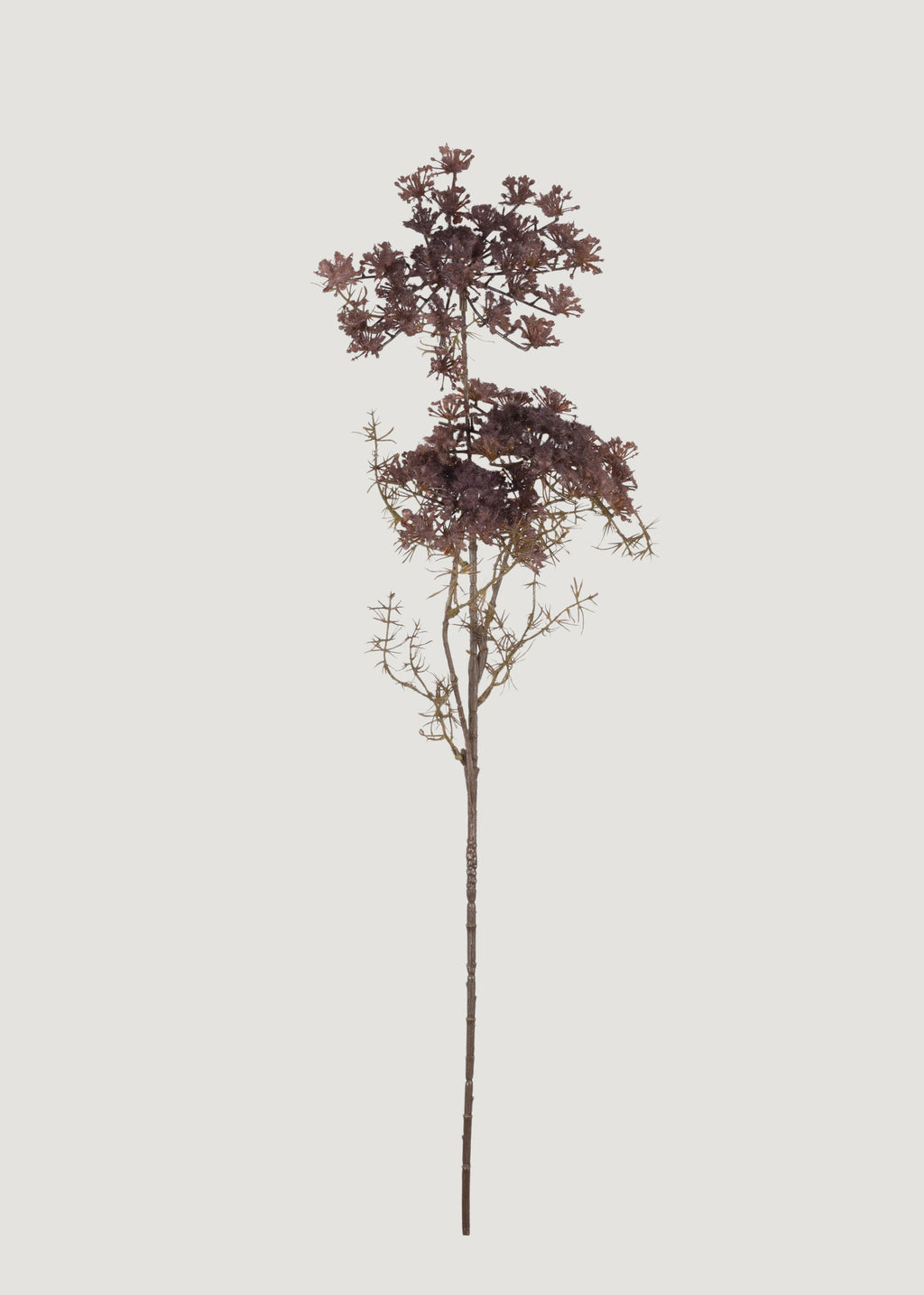 Purple Fake Queen Anne's Lace Wildflower Branch - 31"