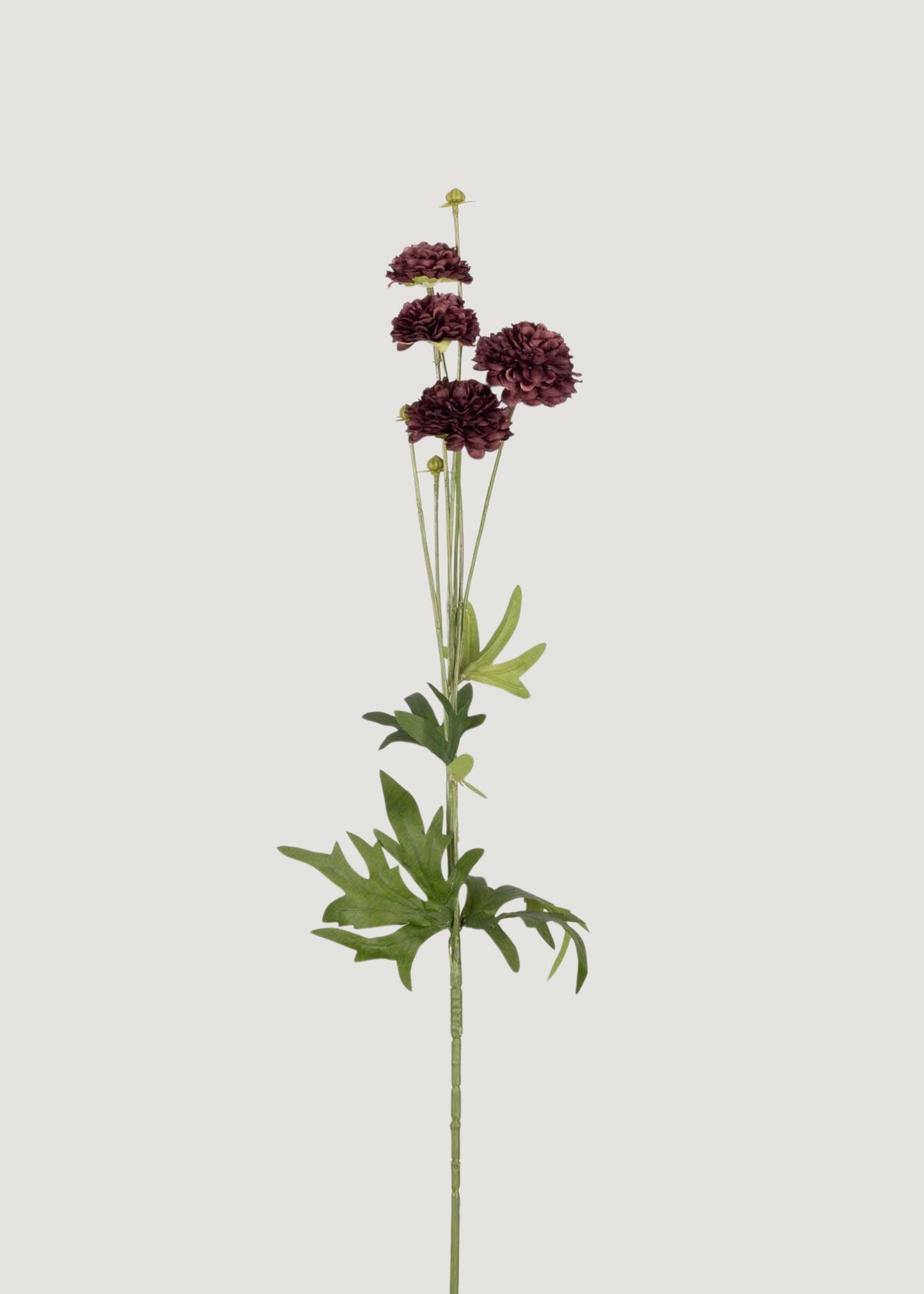 Abigail Ahern Artificial Clove Wildflower Stem in Deep Purple - 29.5"