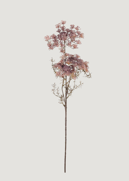 Abigail Ahern Blush Artificial Queen Anne's Lace Branch - 31"