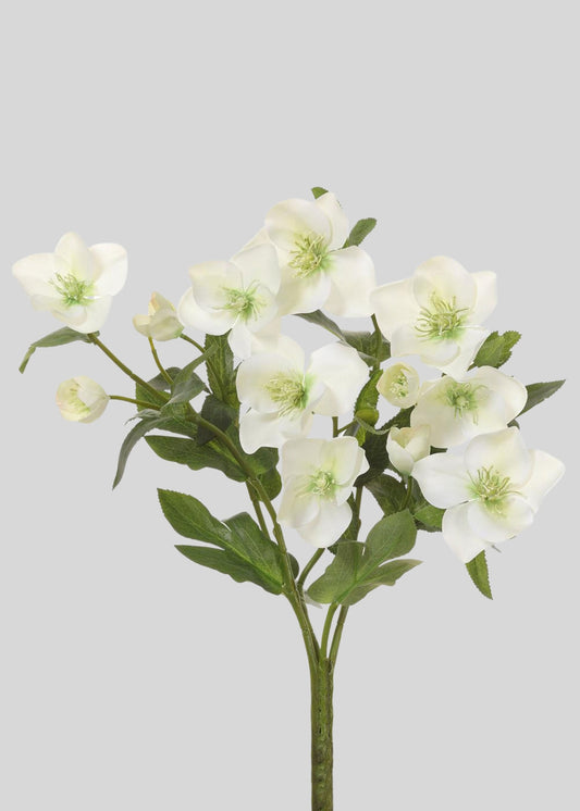 Cream Green Fake Helleborus Flower Bush - 14"