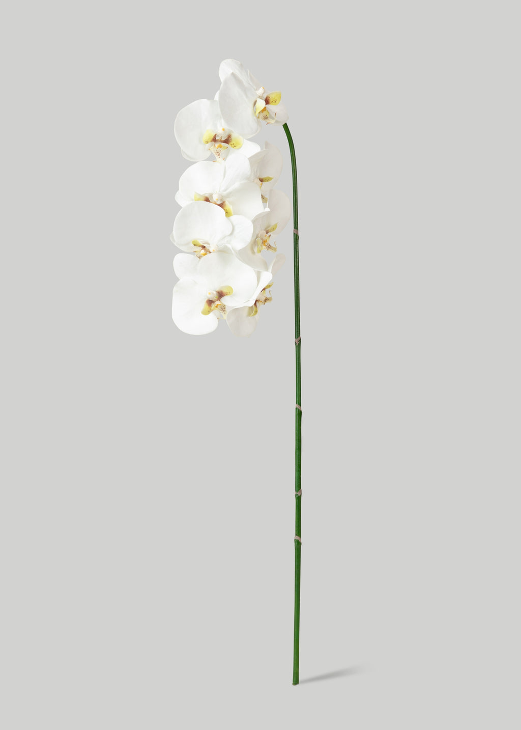 Faux White Blooming Phalaenopsis Orchids - 40"