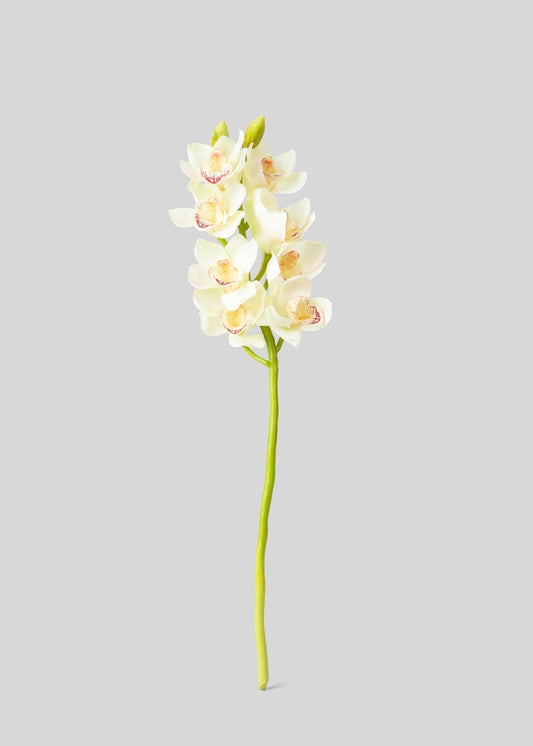 Cream and Burgundy Artificial Cymbidium Orchids - 28.5"