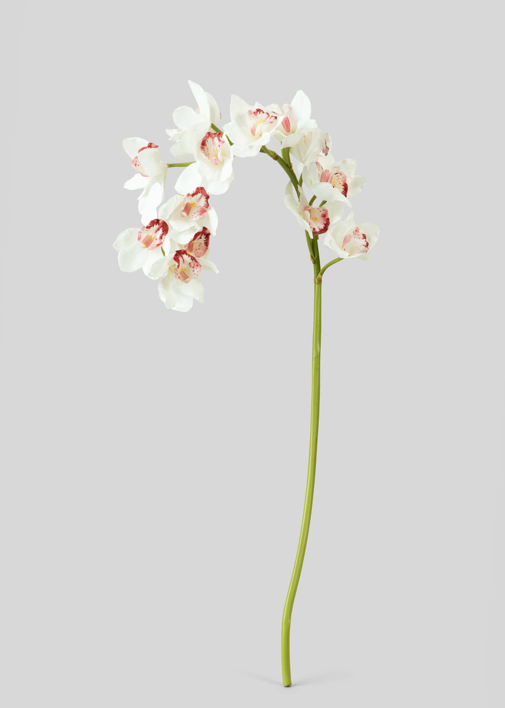 Large Natural Touch Cymbidium Orchid in White - 45"