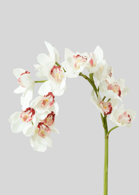 Large Natural Touch Cymbidium Orchid in White - 45"