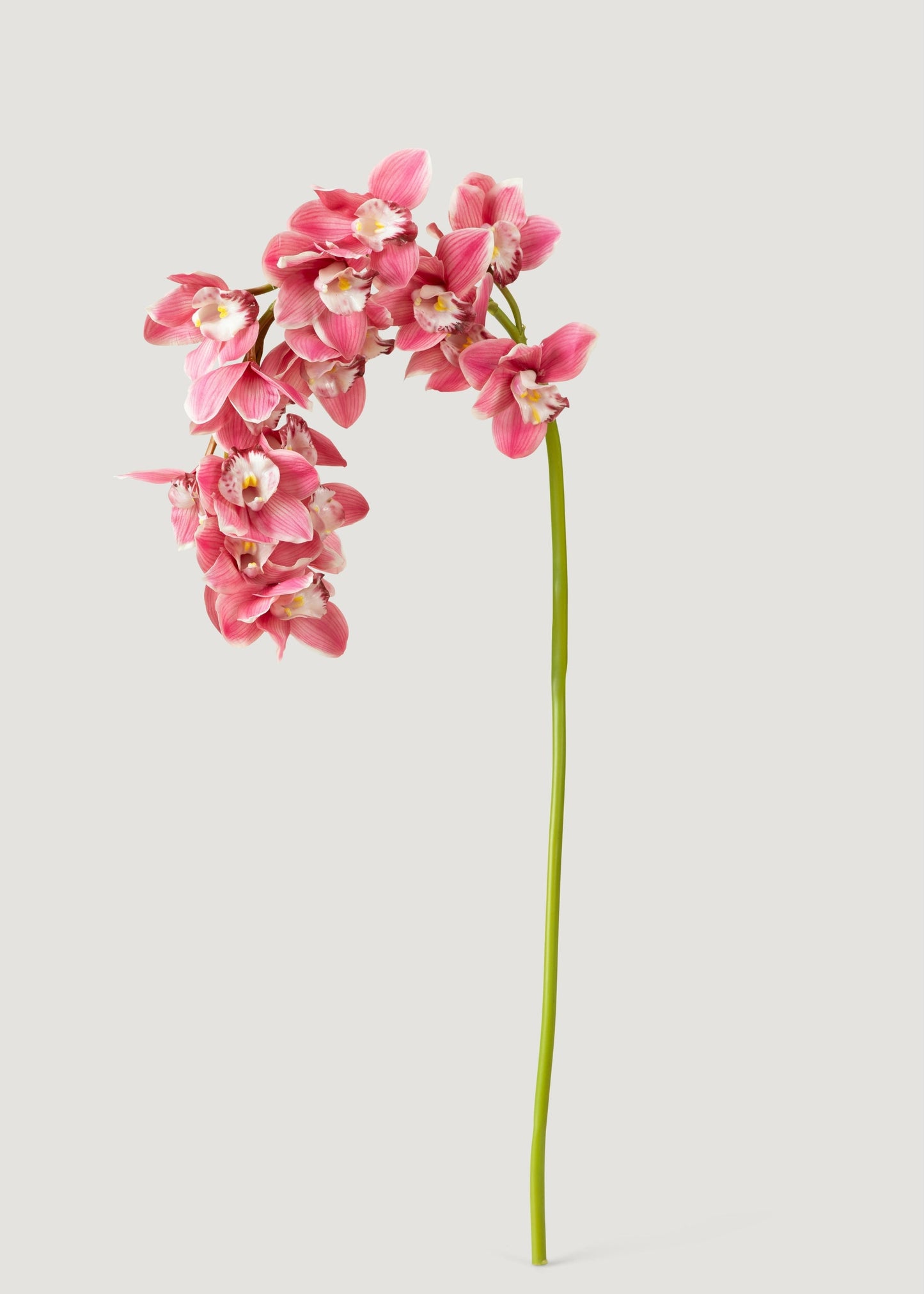 Pink Large Natural Touch Cymbidium Orchid - 45"