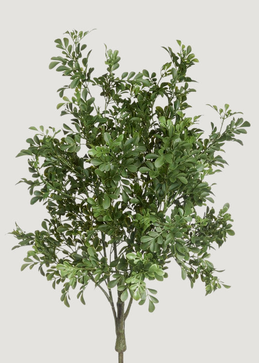 UV Treated Indoor/Outdoor Fake Boxwood Plant - 34"