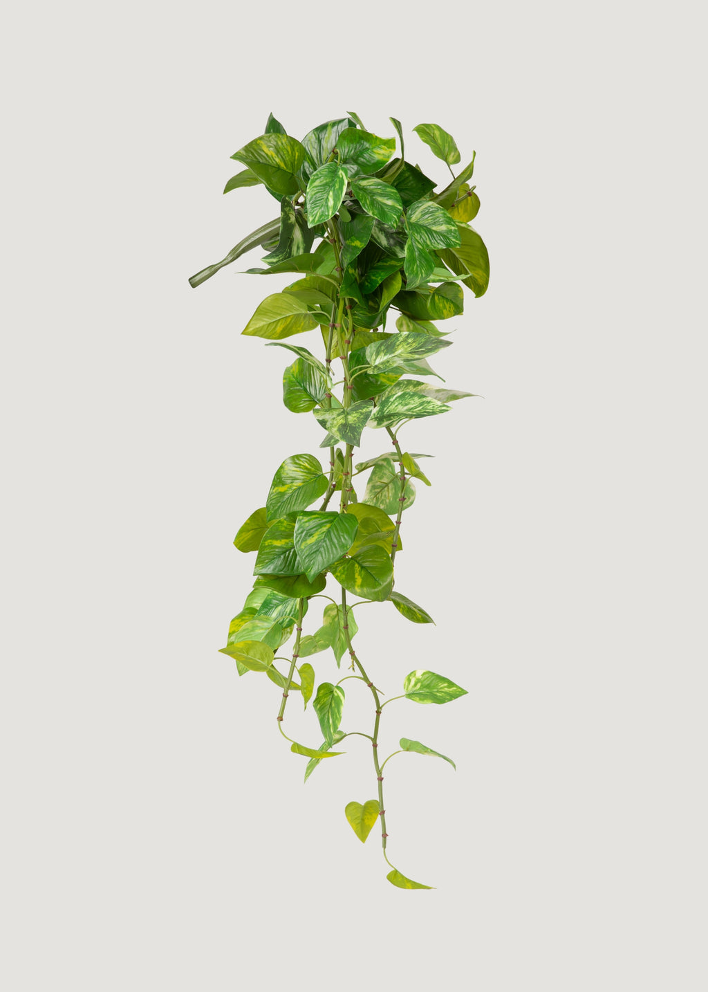 Natural Touch Variegated Pothos - Fake Hanging Plant - 27"