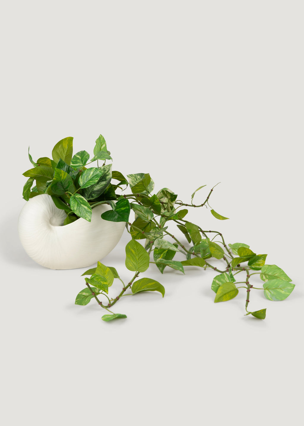 Natural Touch Variegated Pothos - Fake Hanging Plant - 27"