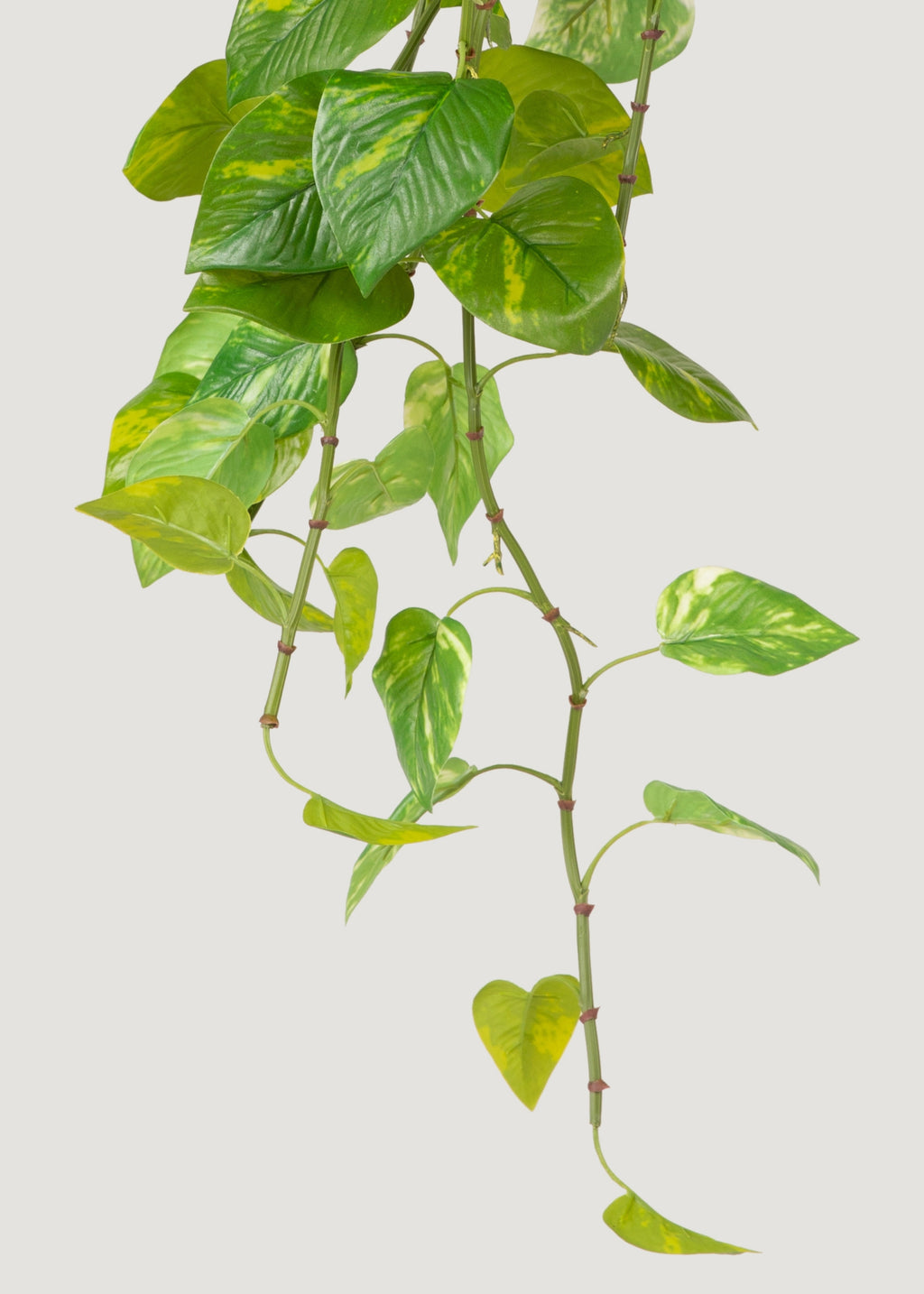 Natural Touch Variegated Pothos - Fake Hanging Plant - 27"