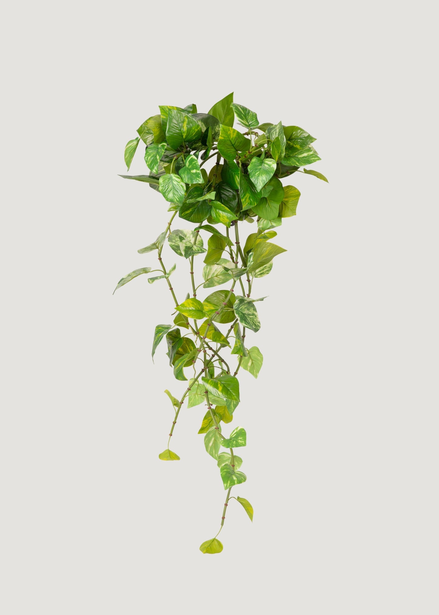 Natural Touch Variegated Pothos - Fake Hanging Plant - 27"