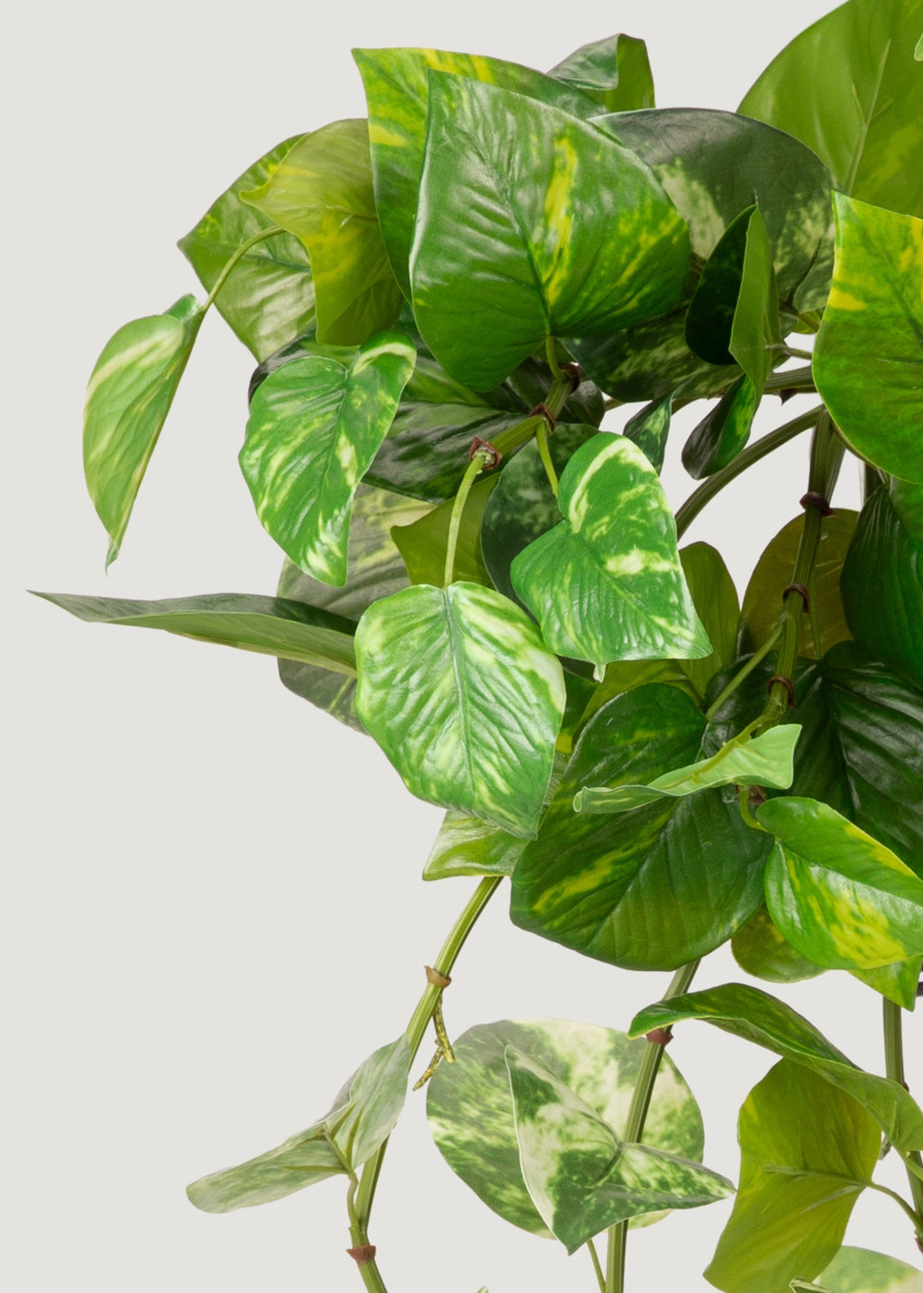 Natural Touch Variegated Pothos - Fake Hanging Plant - 27"