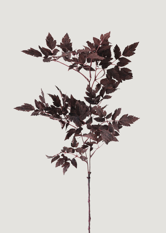 Plum Fake Cimicifuga Ramosa Leaves - 31"