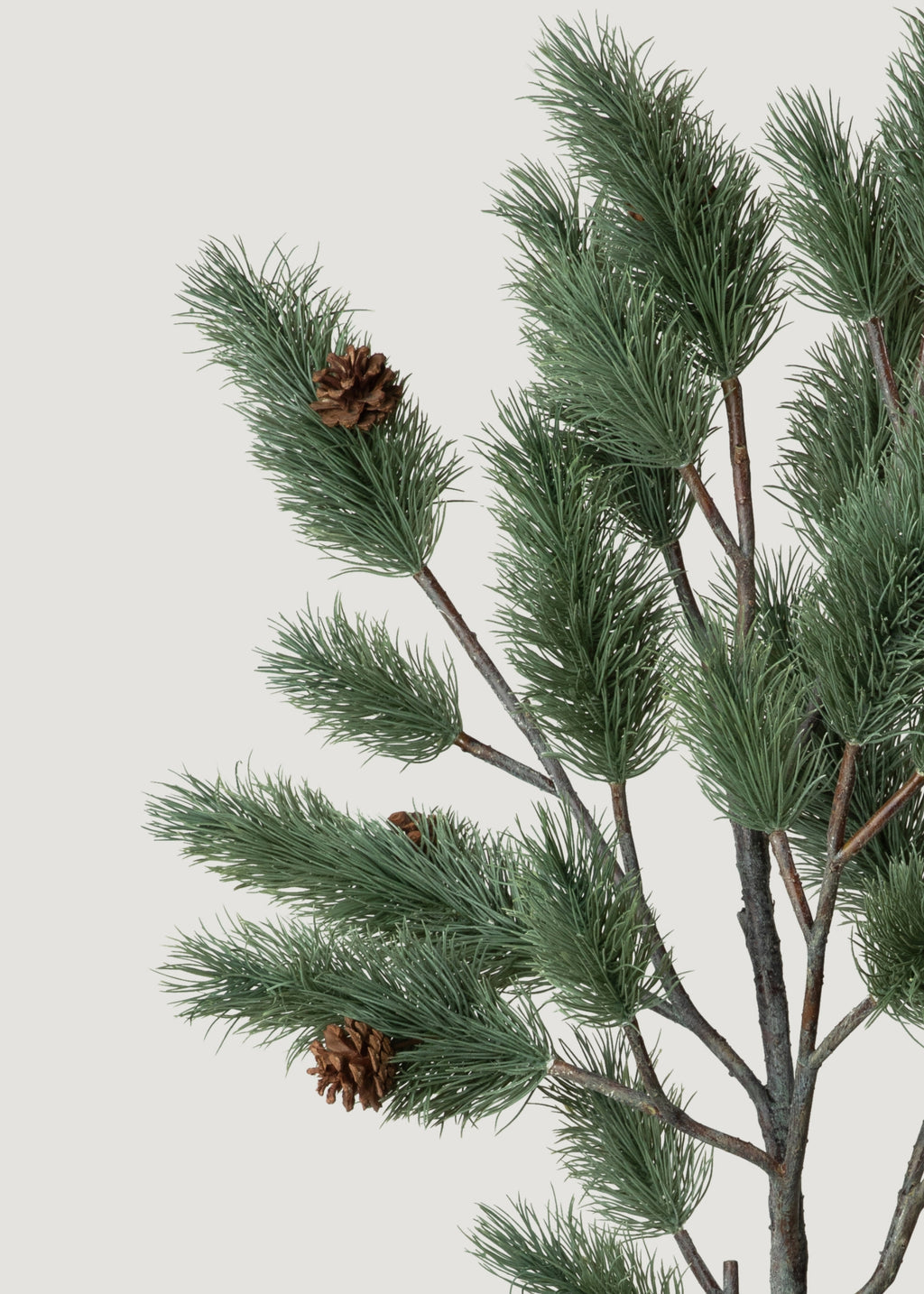 Oversized Deluxe Blue Spruce Pine Branch - 51"