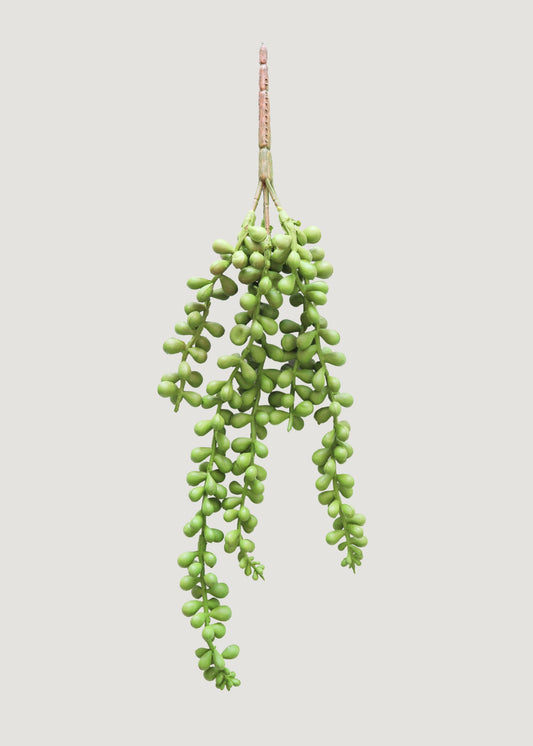 Artificial String of Pearls Hanging Succulent - 13"