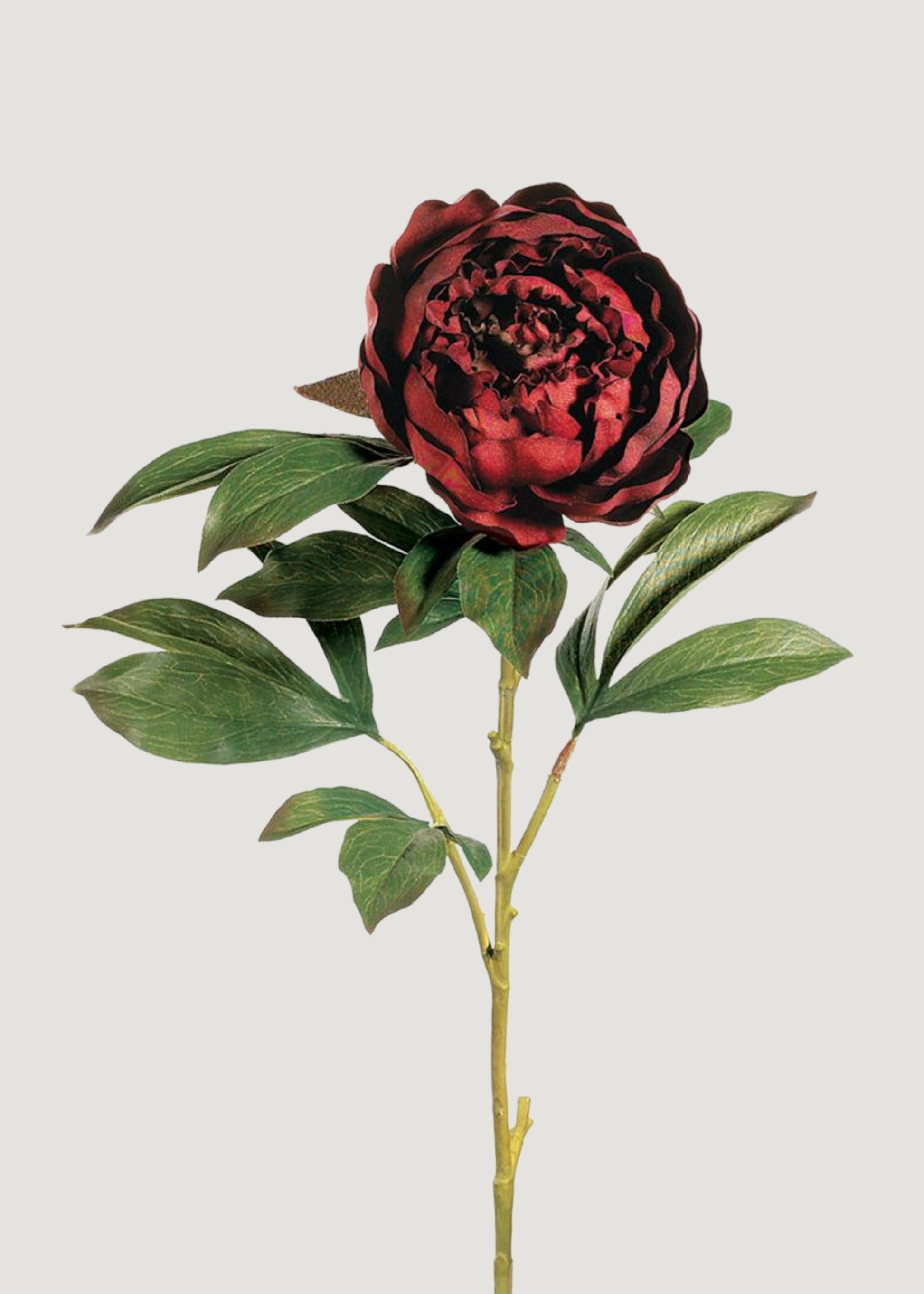 Fake Peony Flower in Burgundy - 30"
